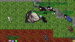 Ninja William on screen