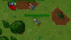 Cocosec Master on screen