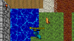 Woganow on screen
