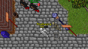 Mahers on screen