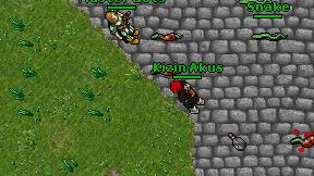 Kizin Akus on screen