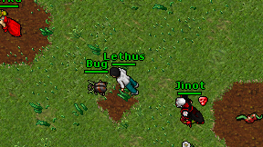 Lethus on screen