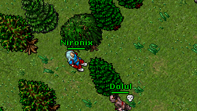 Nironix on screen