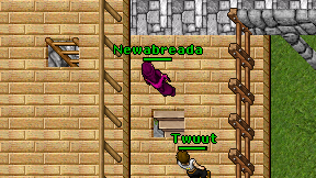 Newabreada on screen