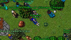 Rixona on screen
