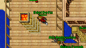 Edel Defiz on screen