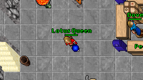 Lotus Queen on screen