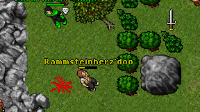 Rammsteinherz'doo on screen