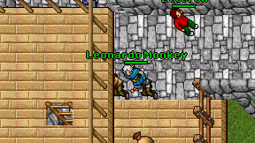 Leonardo Monkey on screen