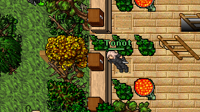 Tonot on screen
