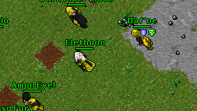 Elethoon on screen