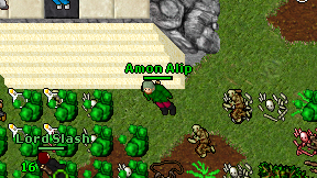 Amon Alip on screen
