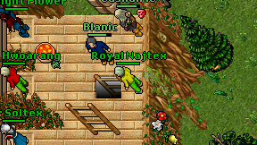 Royal Najtex on screen