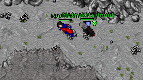 Naoteshi on screen