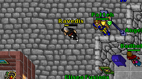 Ravedis on screen
