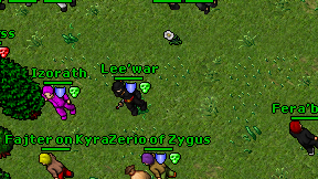 Lee'war on screen