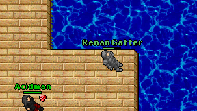 Renan Gatter on screen