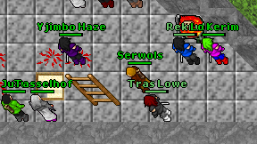 Serwols on screen