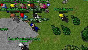 Canopy Spider on screen