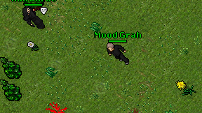 Mood Grah on screen