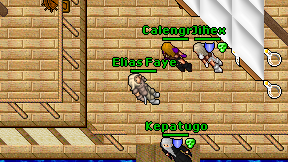 Elias Faye on screen