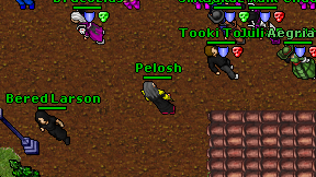 Pelosh on screen