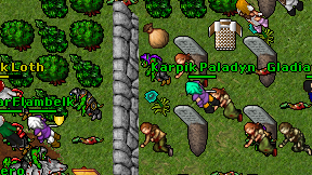 Karpik Paladyn on screen