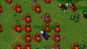 Avatar Azin on screen