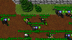 Platynka on screen