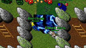 Borcham on screen