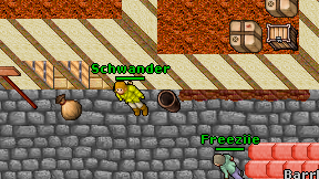 Schwander on screen