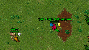 Sir Nightshadow on screen