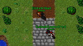 Eliteh'Hat on screen