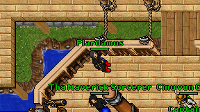 Flardamus on screen