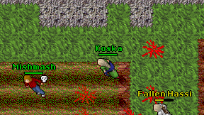 Koska on screen