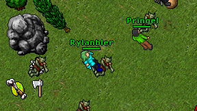 Rylanbler on screen