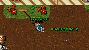 Kruvinell on screen