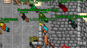 Amadeus Drag on screen