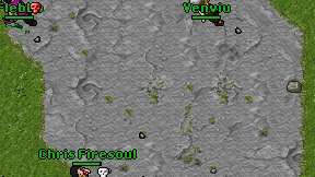Venviu on screen