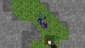 Deskwit on screen