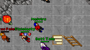 Melvirs on screen
