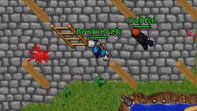 Brakierek on screen