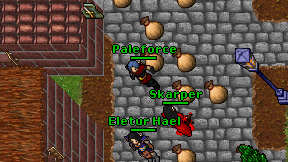 Paleforce on screen