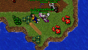 Guce on screen