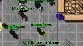 Lucer krys on screen