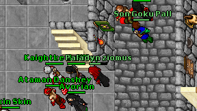 Paladyn ziomus on screen