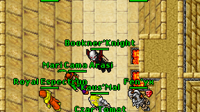 Bookner'Knight on screen