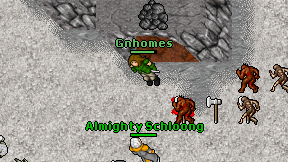 Gnhomes on screen