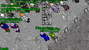Pingwinn on screen