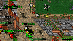 Fliqpy on screen